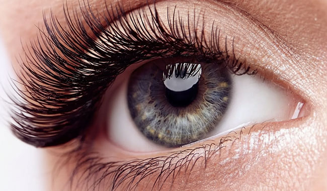 Eyelashes